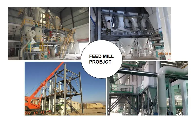 1-2tph Poultry Feeding Machine / Manufacturing Plant for Animal Feed / Feed Pellet Making Line Equipment