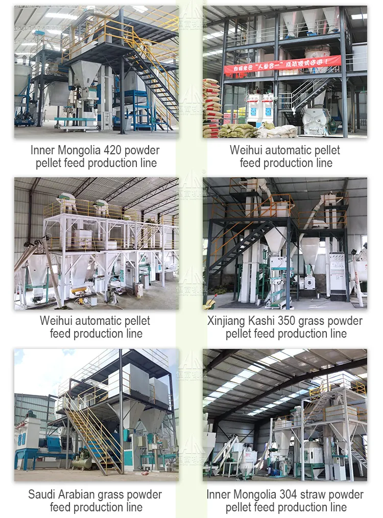 1-3tph Animal Feed Machine Production Line Including Grinding Machine, Pelletizer, Granulator, Mixer, Pellet Mill etc for Large Animal, Chicken, Poultry Feed