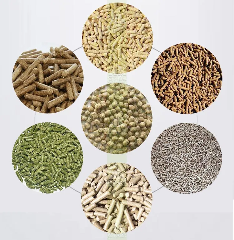 1-3tph Animal Feed Machine Production Line Including Grinding Machine, Pelletizer, Granulator, Mixer, Pellet Mill etc for Large Animal, Chicken, Poultry Feed
