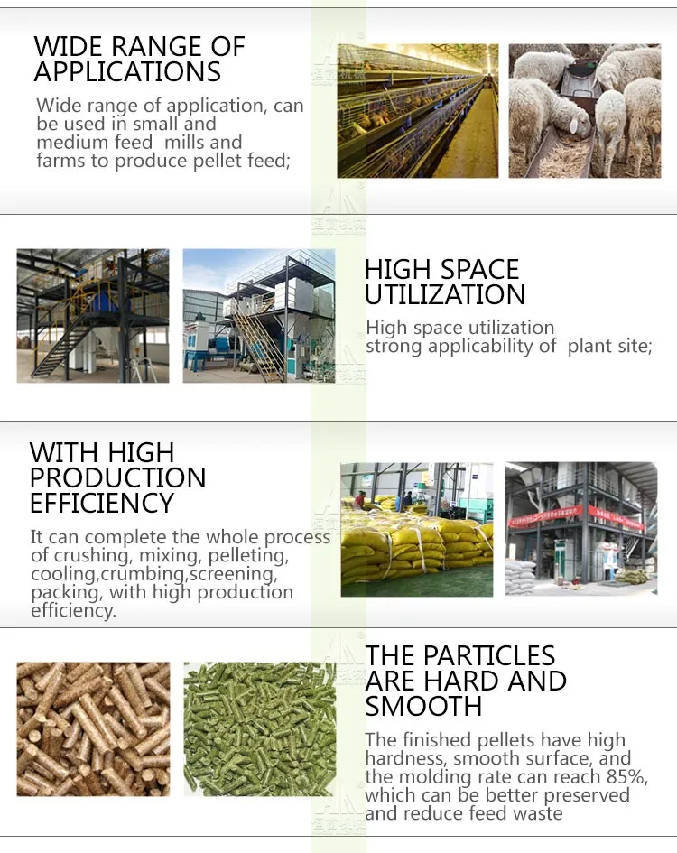 1-3tph Poultry Feeding / Manufacturing Plant for Animal Feed / Feed Pellet Making Line Equipment