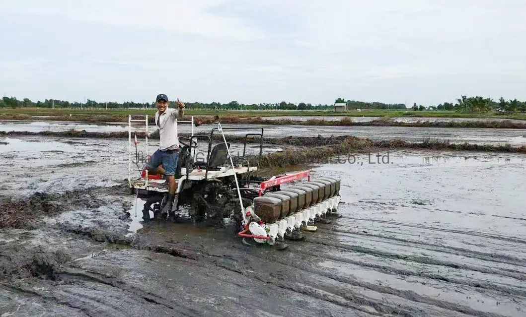 10 Rows Rice Nursery Seeder High Speed Rice Seeding Paddy Planter