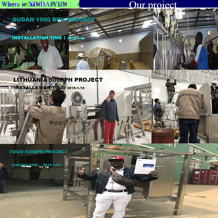 100-300bph Small Chicken Slaughterhouse Equipment /Poultry Slaughtering Machine for Sale