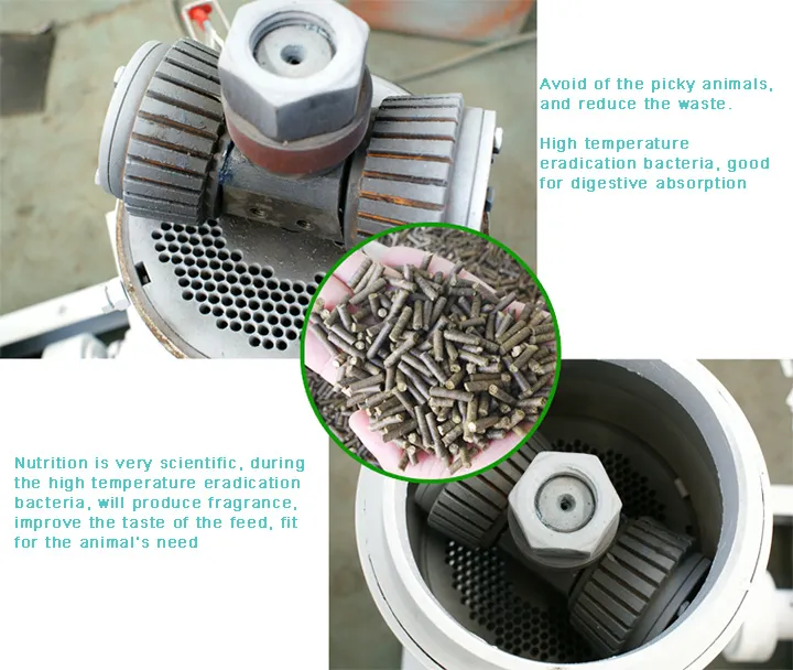 11kw Bestseller Small Animal Feed Pellet Machine for Small Farm