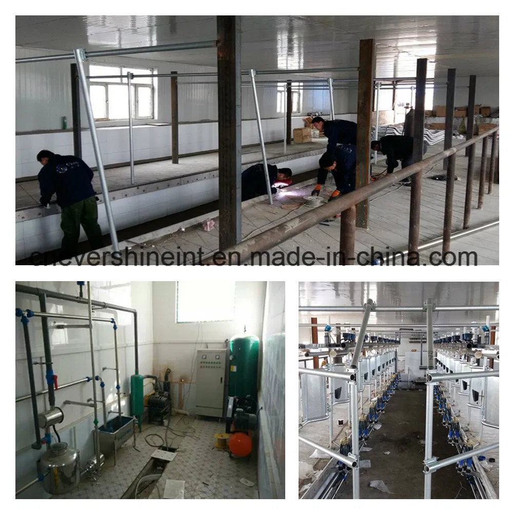 2*16 Cow Auto Milking Parlour System Machine 32 Seats for Medium Farm