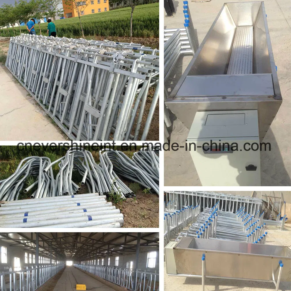 2*16 Cow Auto Milking Parlour System Machine 32 Seats for Medium Farm