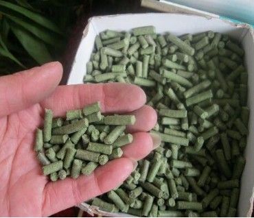 200-300 Kg Poultry Chicken Animal Feed Pellet Machine