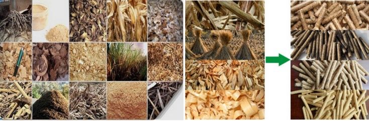 200-300 Kg Poultry Chicken Animal Feed Pellet Machine