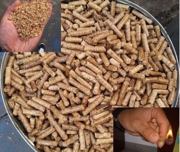 200-300 Kg Poultry Chicken Animal Feed Pellet Machine