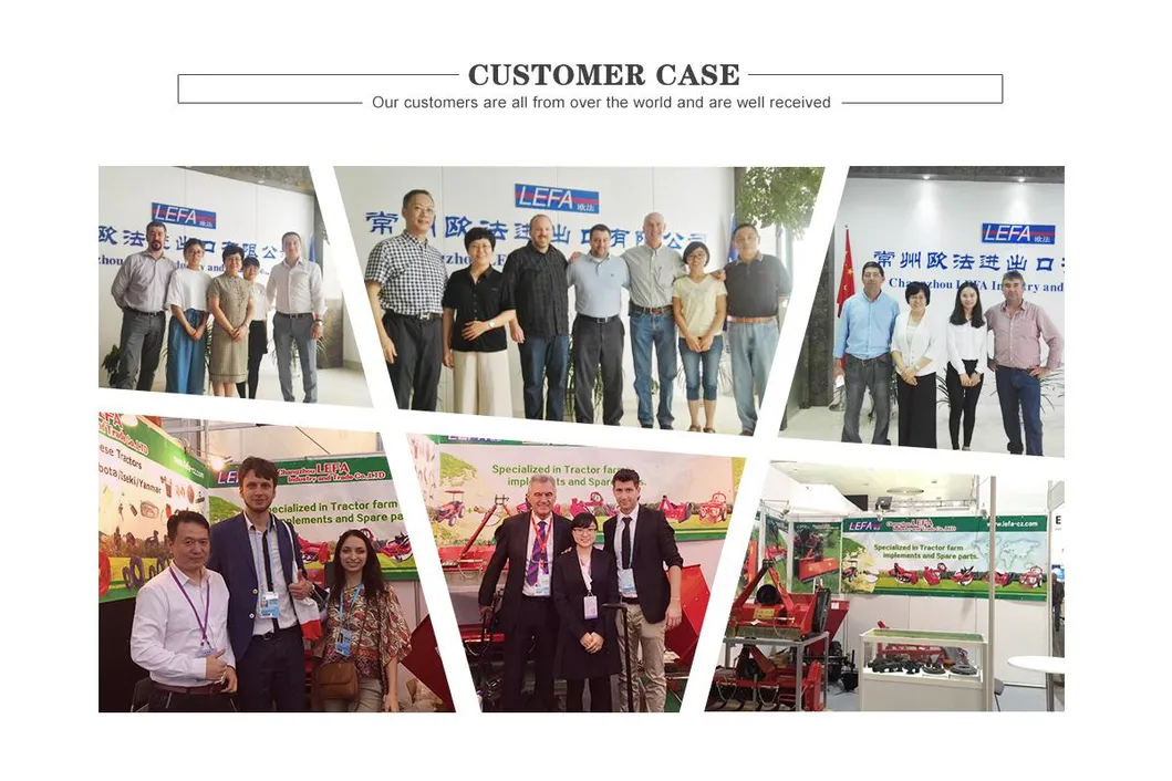 2015 Hot Selling Tractor Attachment Reversible Plow