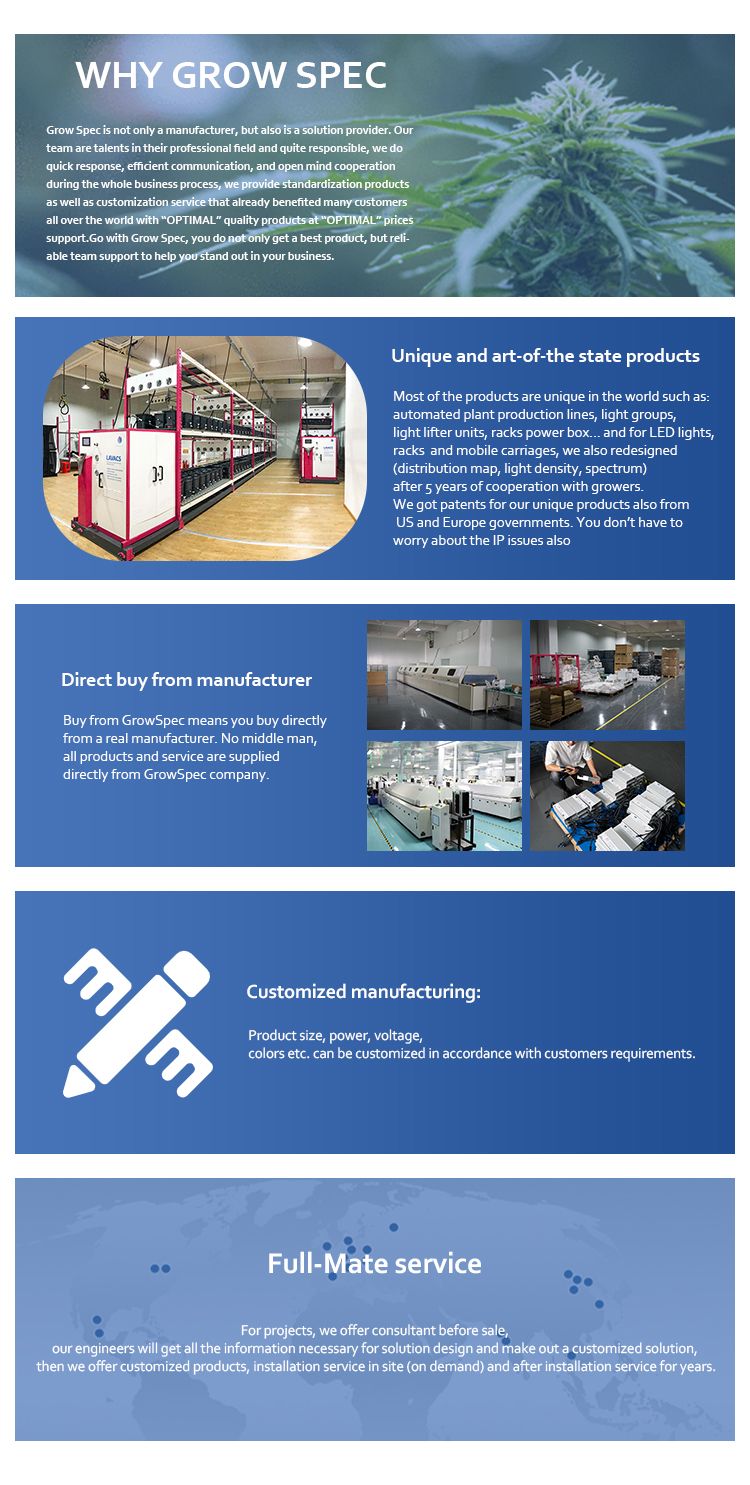 2021 Big Weight Using Hot Selling Ecospeed 2 Tiers Indoor Vertical Aeroponic System for Medical Herb/Planting/Flowering/Bloom