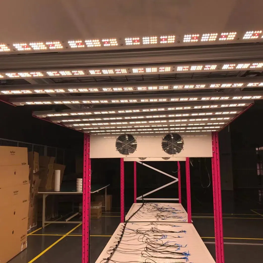 2021 Big Weight Using Hot Selling Ecospeed 2 Tiers Indoor Vertical Growing Rack for Medical Herb/Planting/Flowering/Bloom