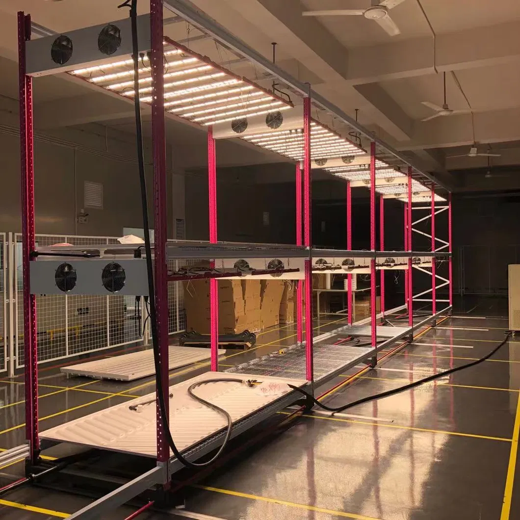 2021 Big Weight Using Hot Selling Ecospeed 2 Tiers Indoor Vertical Growing Rack for Medical Herb/Planting/Flowering/Bloom