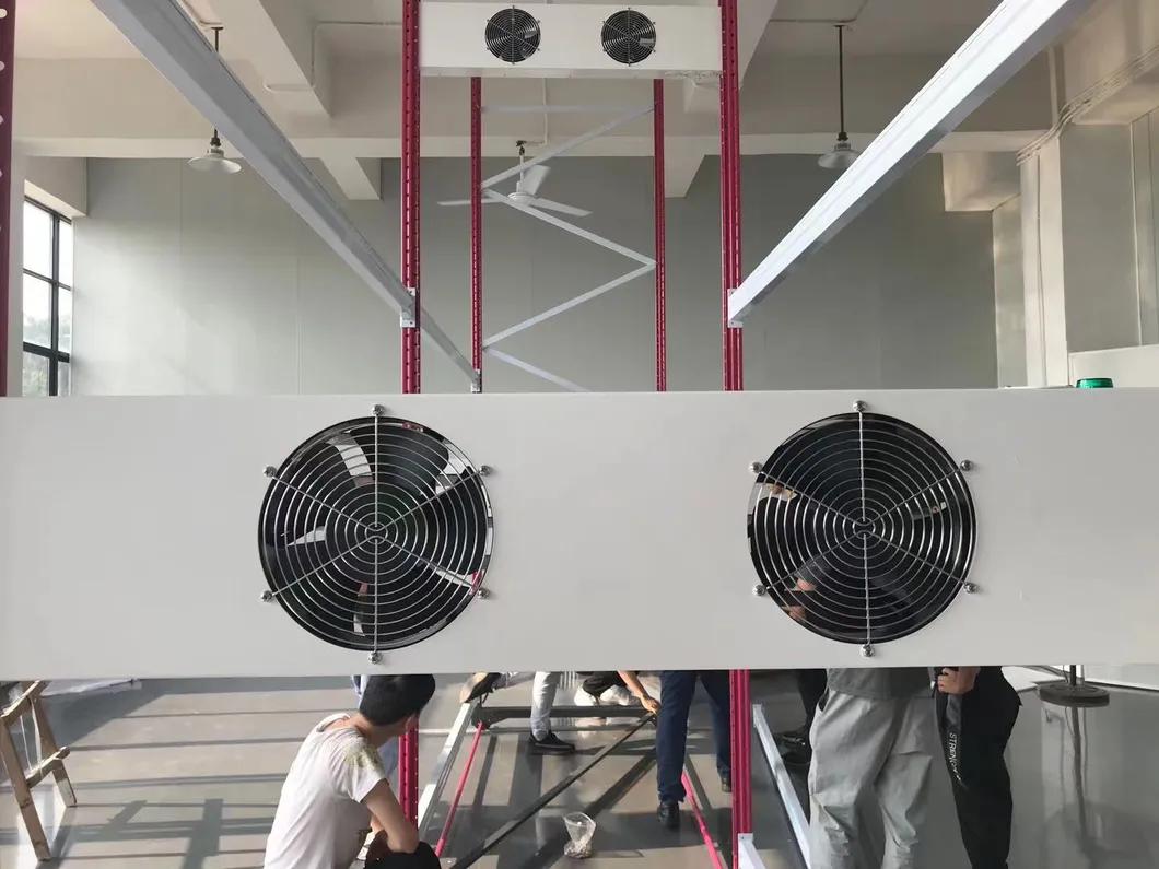 2021 Big Weight Using Hot Selling Ecospeed 2 Tiers Indoor Vertical Growing Rack for Medical Herb/Planting/Flowering/Bloom