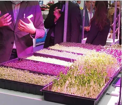 2021 Big Weight Using Hot Selling Ecospeed 2 Tiers Indoor Vertical Growing Rack for Medical Herb/Planting/Flowering/Bloom