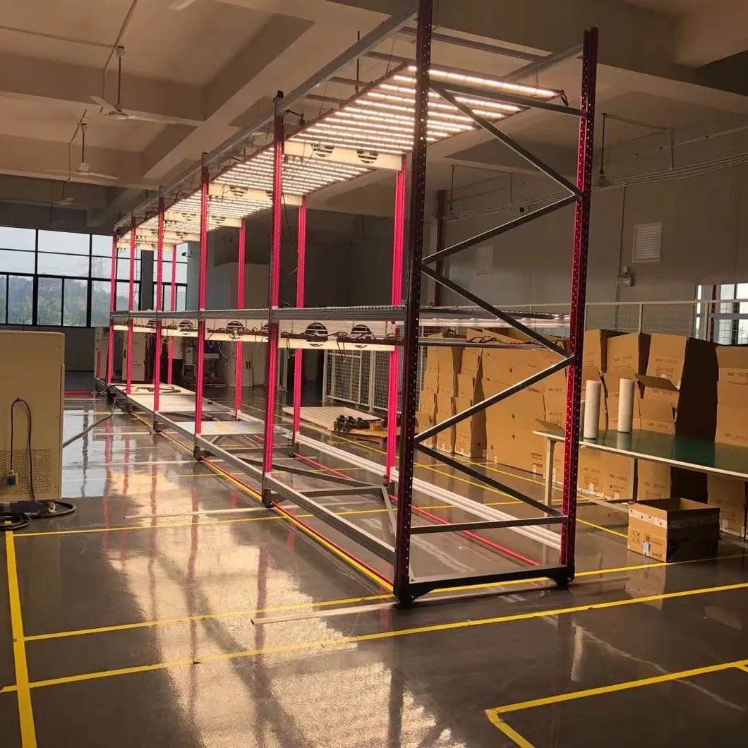 2021 Big Weight Using Hot Selling Ecospeed 2 Tiers Indoor Vertical Growing Rack for Medical Herb/Planting/Flowering/Bloom