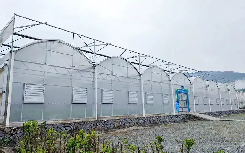 What Materials Are Commonly Used to Build Greenhouses?