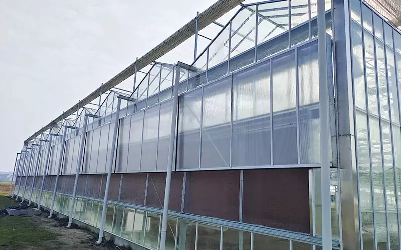 PC Greenhouse: The Smart Solution for Modern Agriculture