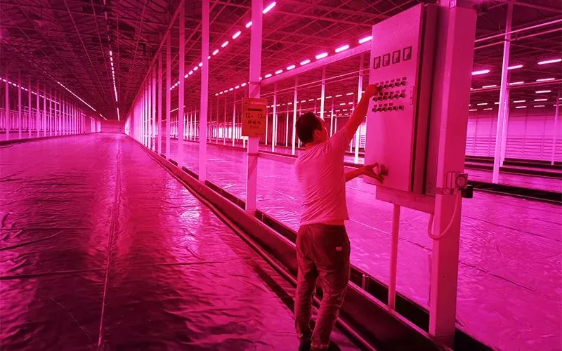 What Is an Intelligent Control System and How Can It Revolutionize Your Operations?