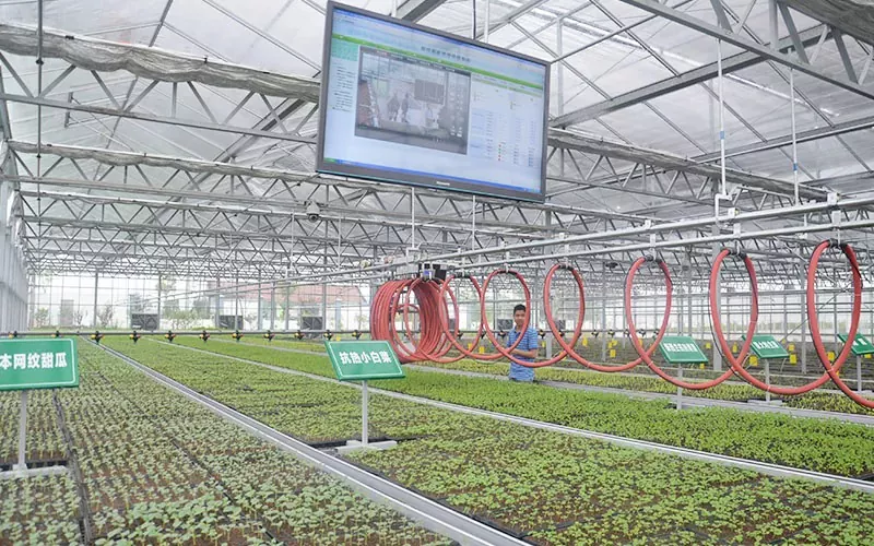 How Does the Greenhouse Irrigation System Mobile Sprinkler Improve Modern Farming?