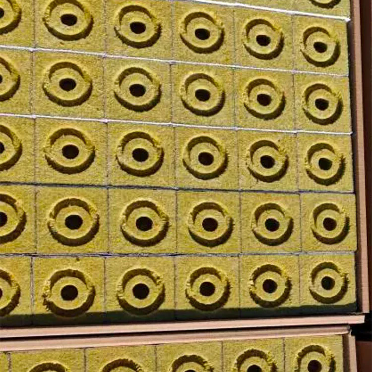 How Does Hydroponic Medium Improve Plant Growth and Productivity?