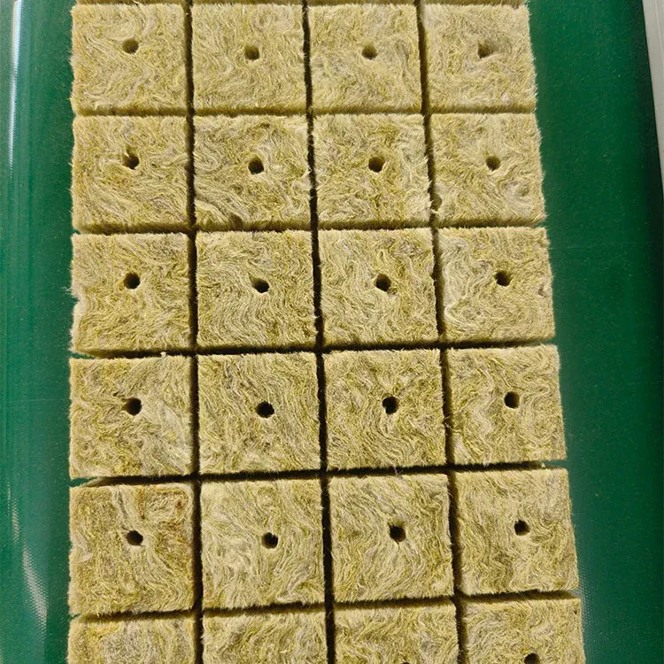 What Makes Planting Rockwool the Future of Sustainable Cultivation?