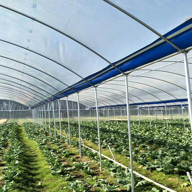 How Can Greenhouse Drainage Tarps Improve Agricultural Efficiency?