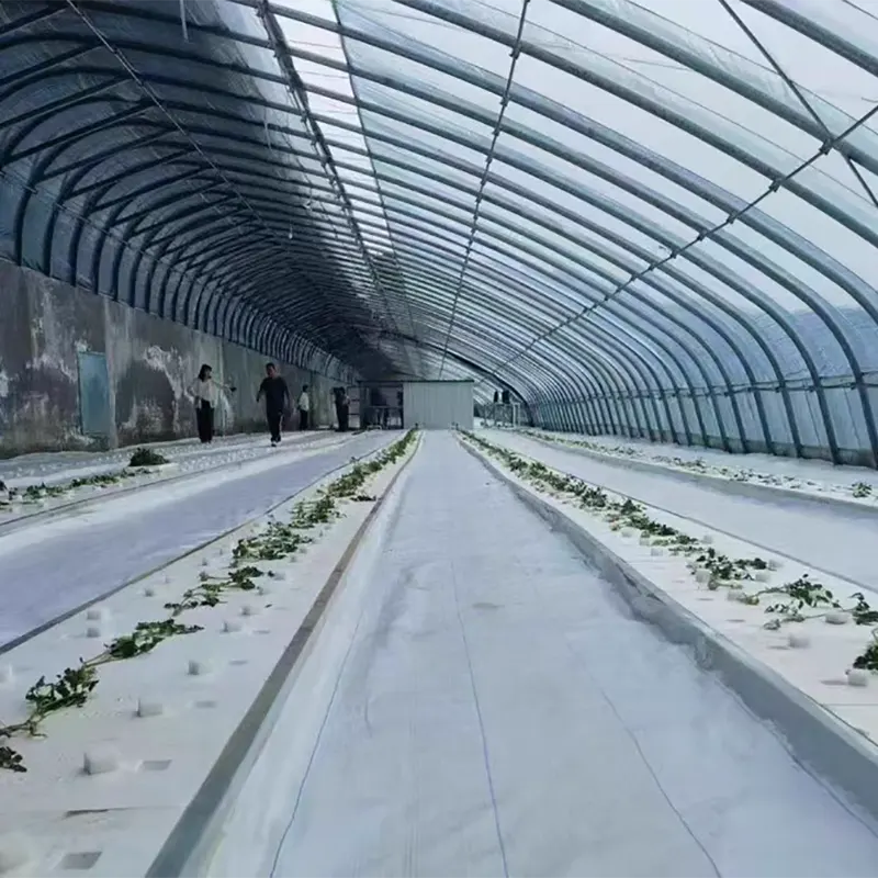 Why Are Reflective Ground Mats Essential for Outdoor Survival and Comfort?