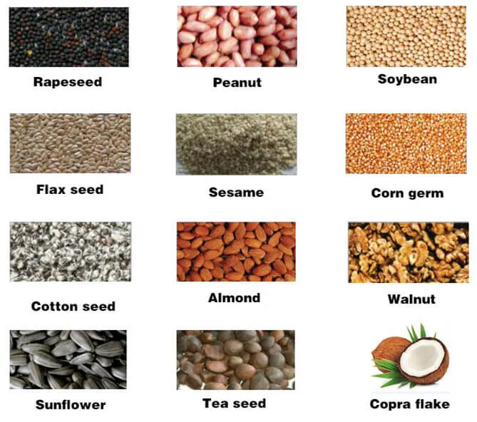 20tpd Sunflower Oil Processing Machine Yzyx168