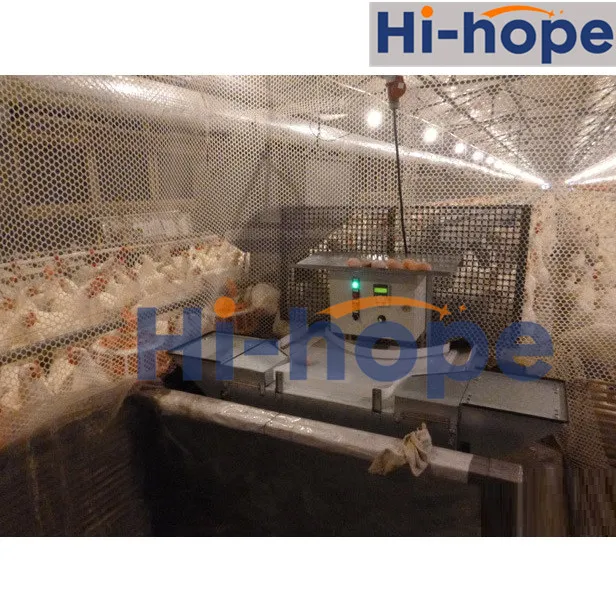 24 Holes Breeder Farm Layer Egg Collecting Nest with Automatic System