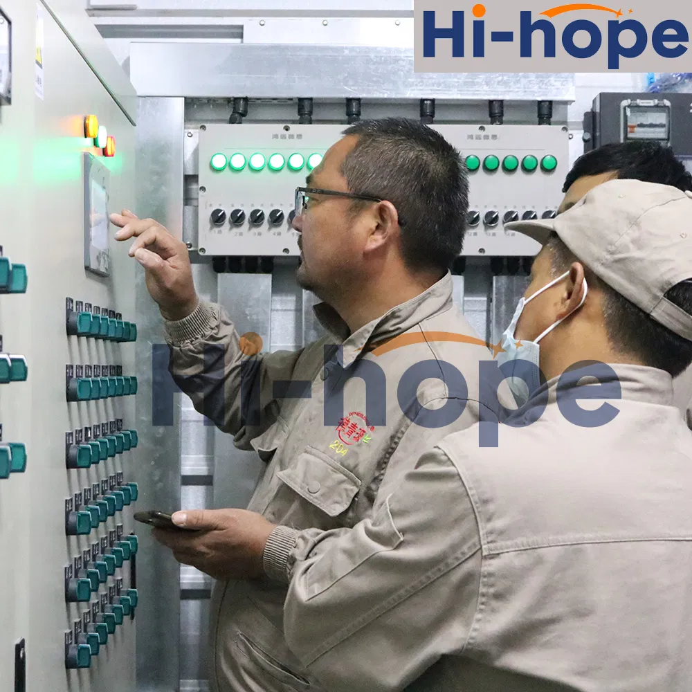 24 Holes Breeder Farm Layer Egg Collecting Nest with Automatic System