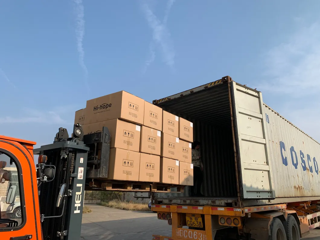 24 Holes Breeder Farm Layer Egg Collecting Nest with Automatic System