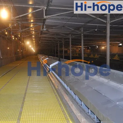 24 Holes Breeder Farm Layer Egg Collecting Nest with Automatic System