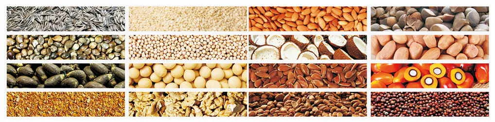 3tpd High Quality Screw Oil Press Yzyx90 Guangxin Brand