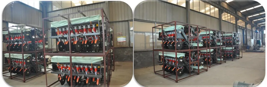 6 Rows Tractor Maize Seeder Corn Planter with Fertilizer Box for Sale