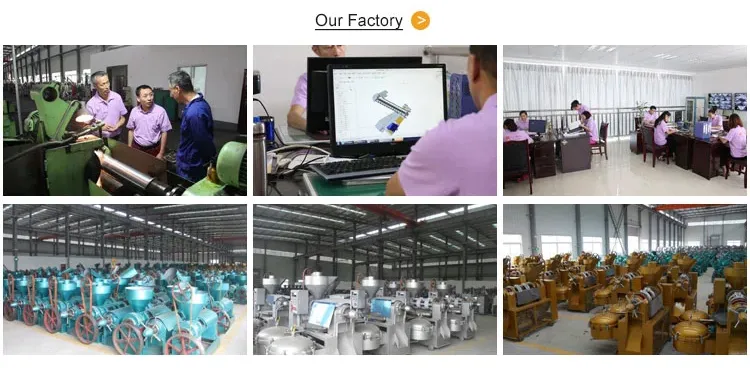 6yl-95A Easily Control of Fruit Oil Presser with Reliable Quality