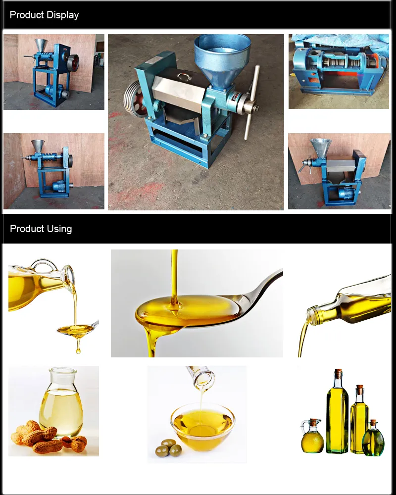 6yl-95A Easily Control of Fruit Oil Presser with Reliable Quality