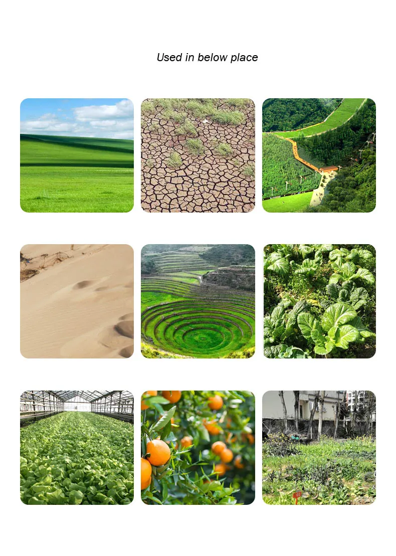 7HP Gasoline Power Tiller, Rotary Cultivator Agricultural Machinery Petrol Tiller (GT750D)