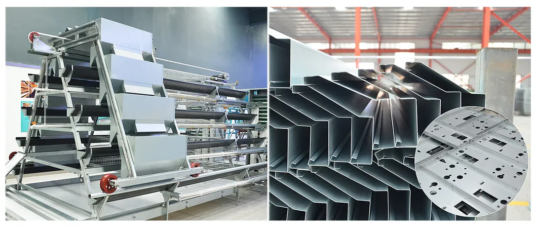 A Type Automatic Battery Chicken layer Cage and chicken broiler cage