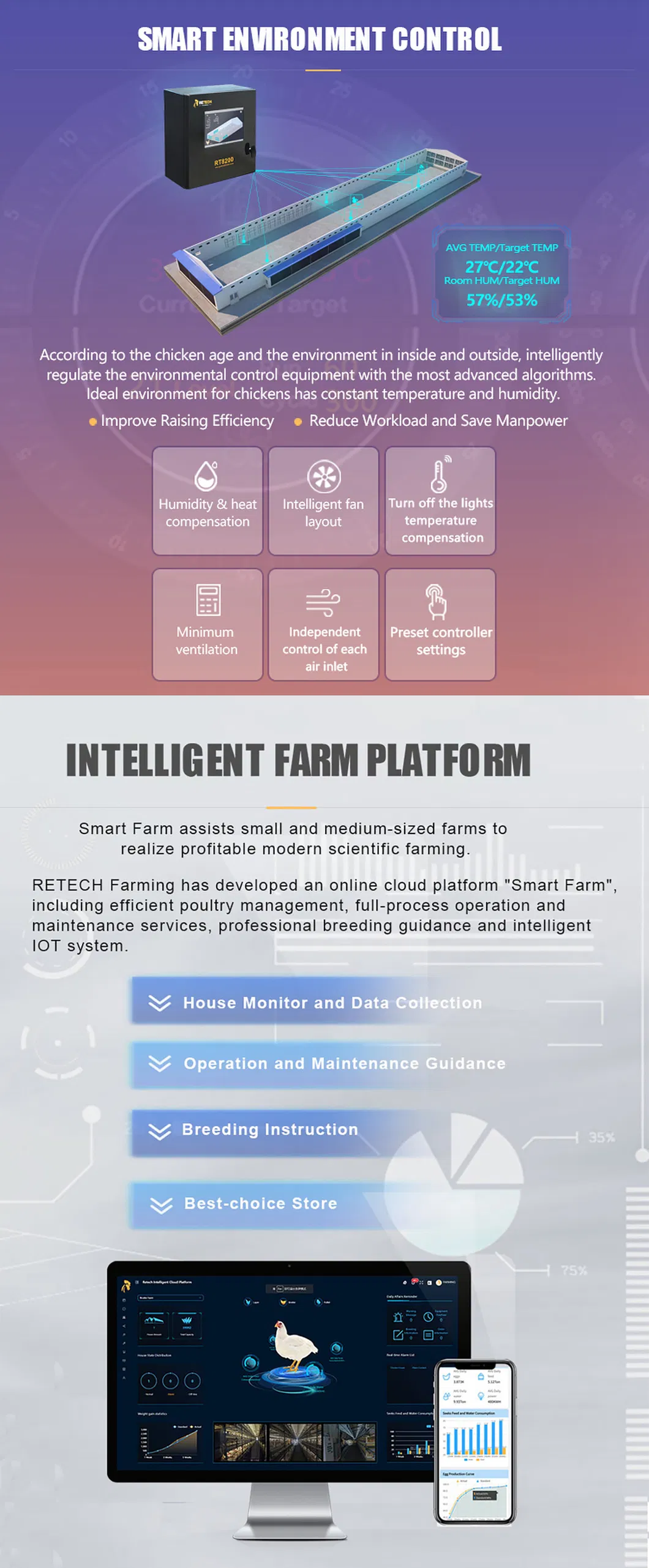A Type Automatic Battery Chicken layer Cage and chicken broiler cage