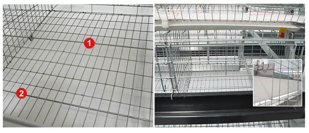 A Type Automatic layer Poultry Farm Cage Design For Sale