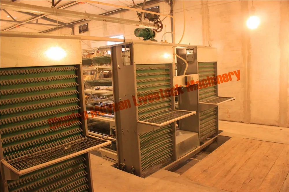 a Type Three-Tier Layer Cage Open House Cage Multi Tier a Poultry Cage Hen Cage Equipment