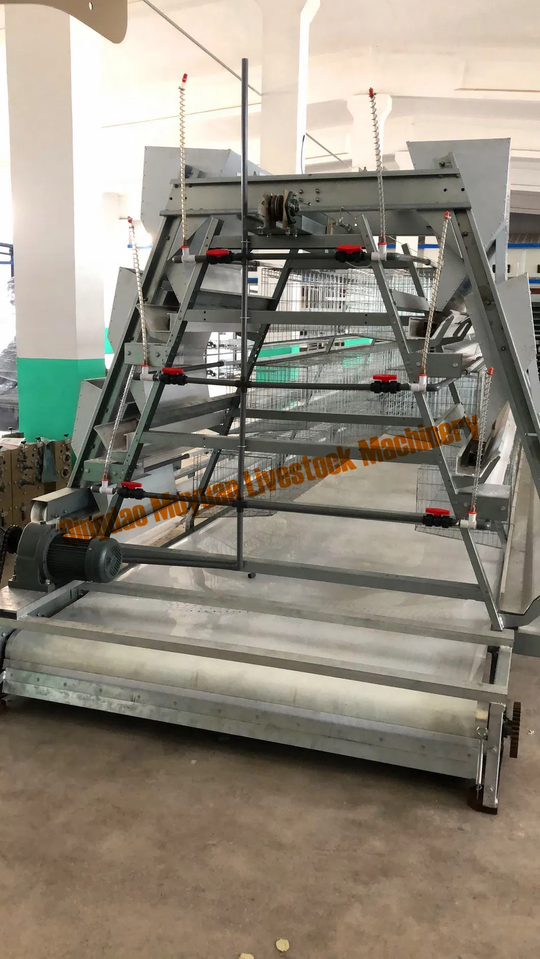 a Type Three-Tier Layer Cage Open House Cage Multi Tier a Poultry Cage Hen Cage Equipment