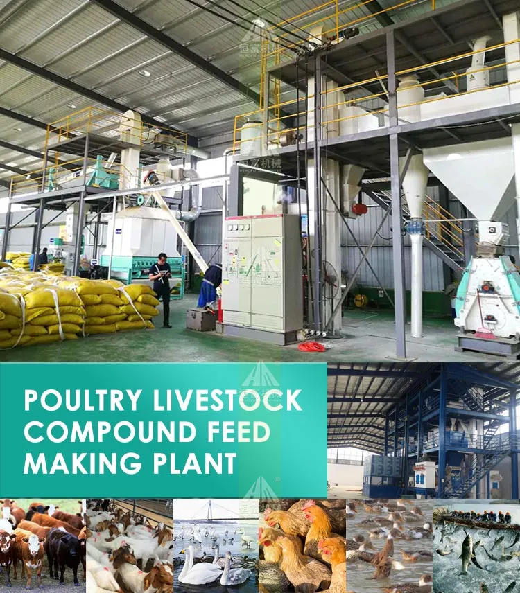 Advanced Small Poultry Feed Mill/Poultry Feed Pellet Machine/1-2tph Pellet Production Line