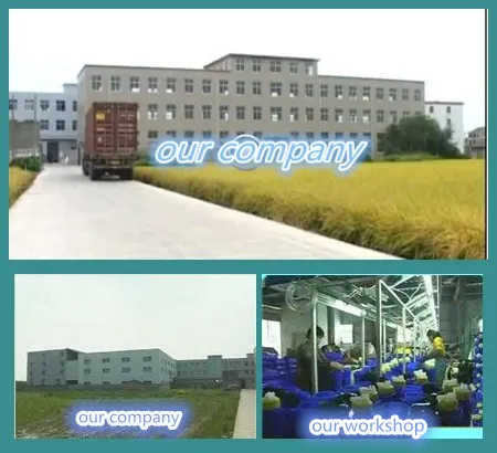 Agricultural Knapsack Backpack Sprayer Hand Sprayer (3WBS-16B)