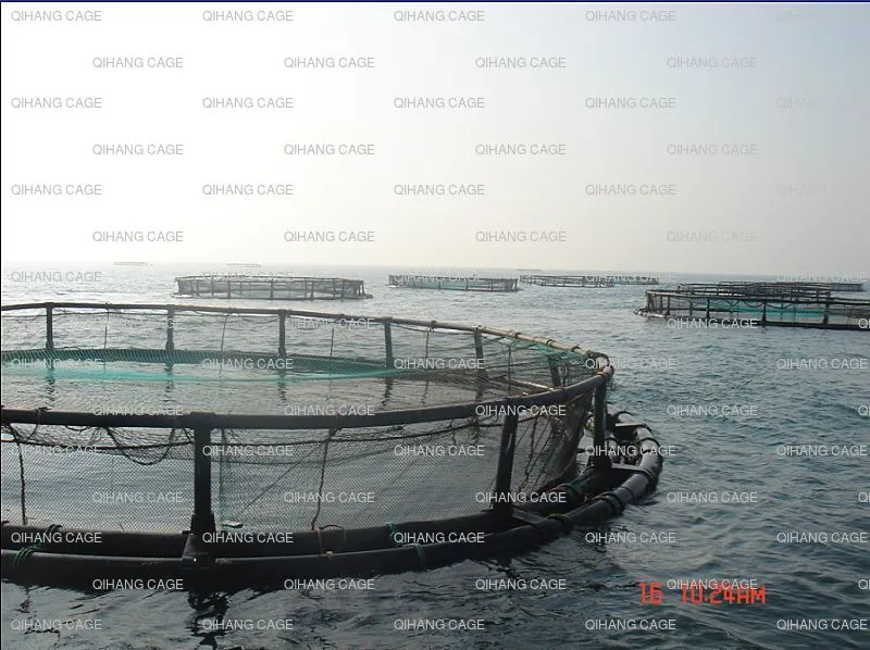 Aquaculture Cages for Fish Farming in Volta Lake