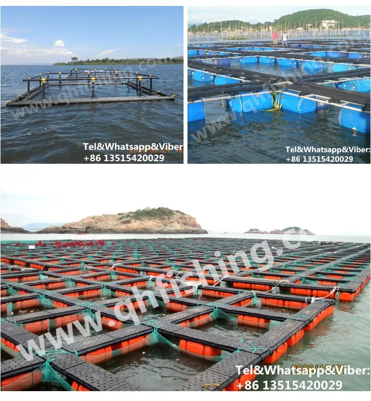 Aquaculture Square Cage Fish Trap for Fish Farming