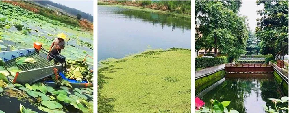 Aquatic Weed Harvester High-Efficiency Native/Mechanical Harvesting/Labor Saving/Small Size/Lightweight Construction/Agricultural Underwater Lawn Mower