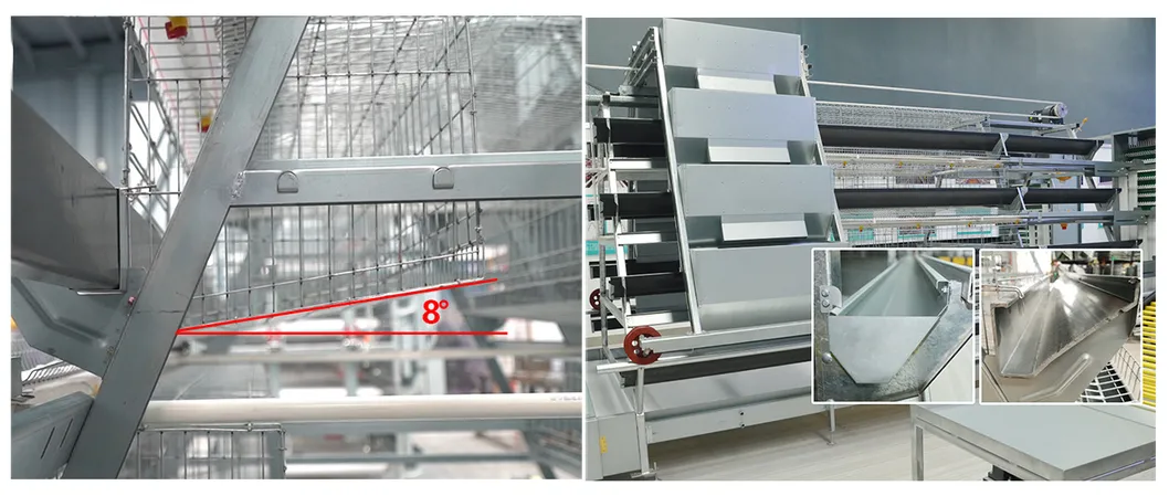 Automatic A Type Egg Laying Hens Chicken Layer Battery Cage