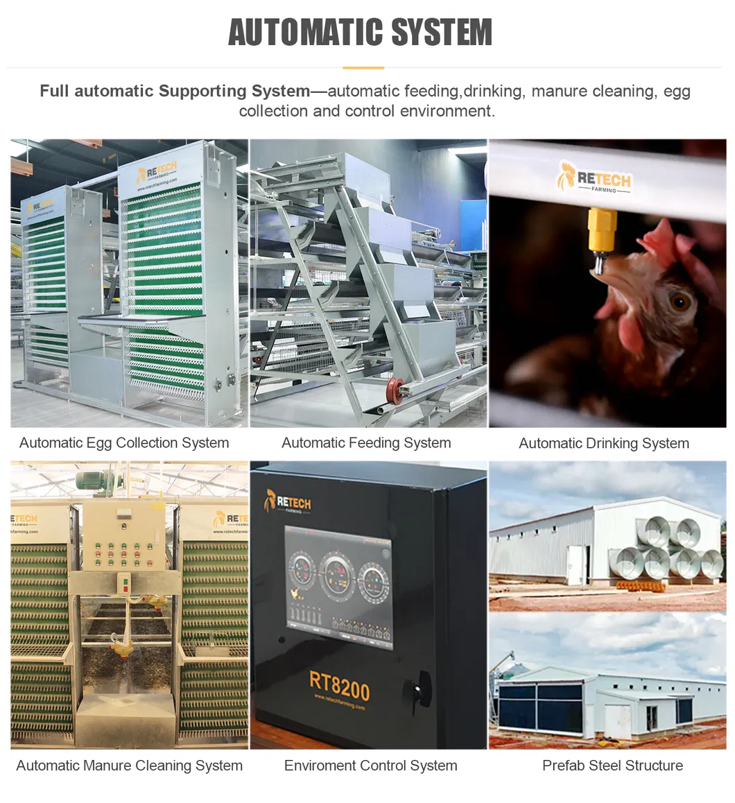 Automatic A Type Egg Laying Hens Chicken Layer Battery Cage