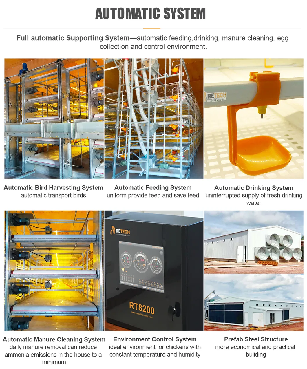 Automatic Broiler Chicken Cage for Layer Poultry